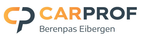 Logo berenpas